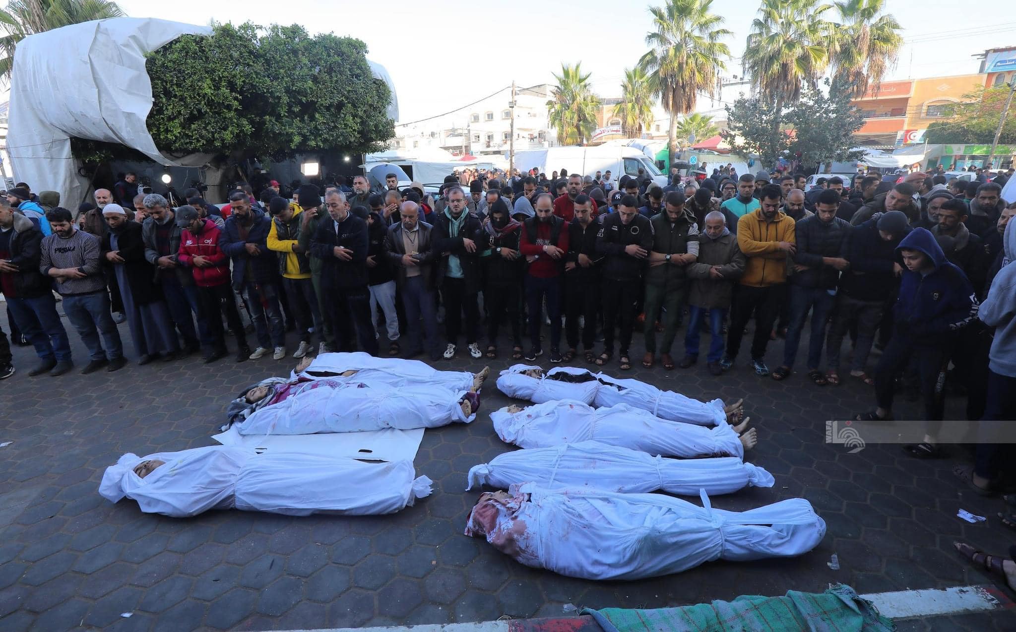 L'agression israélienne continue contre la bande de Gaza portant le bilan à 23 000 martyrs