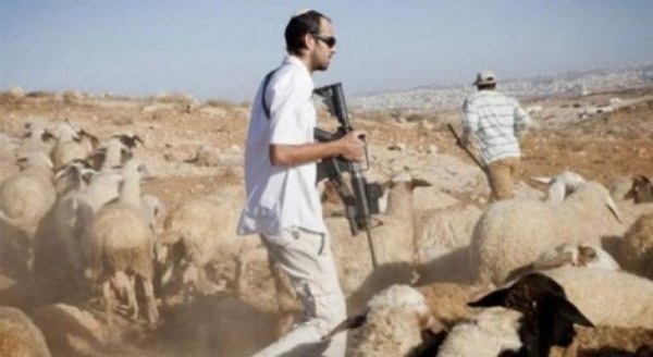 Des colons et des soldats d'occupation attaquent des bergers au sud d'Hébron