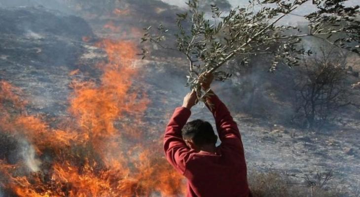Des colons incendient des terres agricoles à l'Ouest de Bethléem 