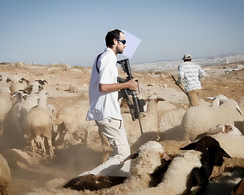 Des colons volent des moutons au nord-ouest de Jéricho