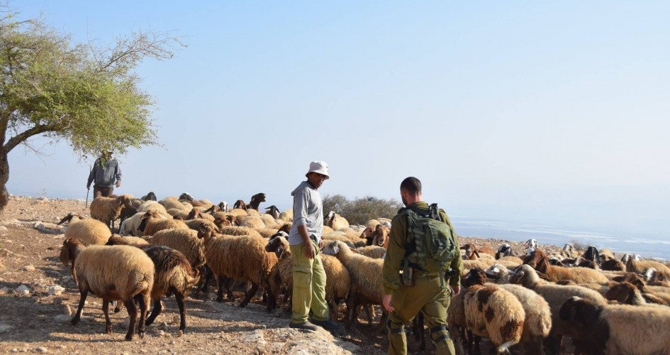 Des colons expulsent des bergers dans la vallée du Jourdain