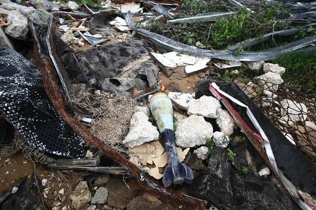 Comité olympique : 560 martyrs du mouvement scout sportif de la jeunesse lors de l'agression de l'occupation contre la bande de Gaza
