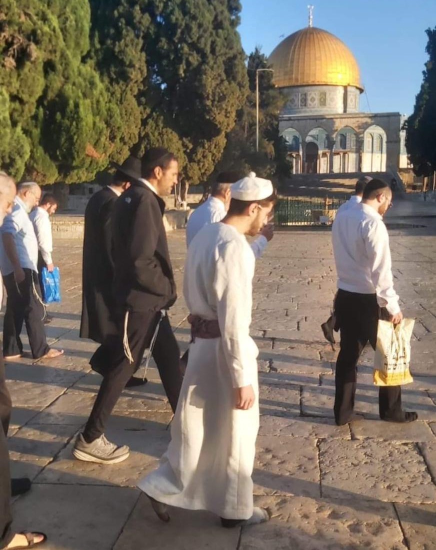 Des colons envahissent Al-Aqsa et pratiquent des rituels talmudiques dans sa cour 