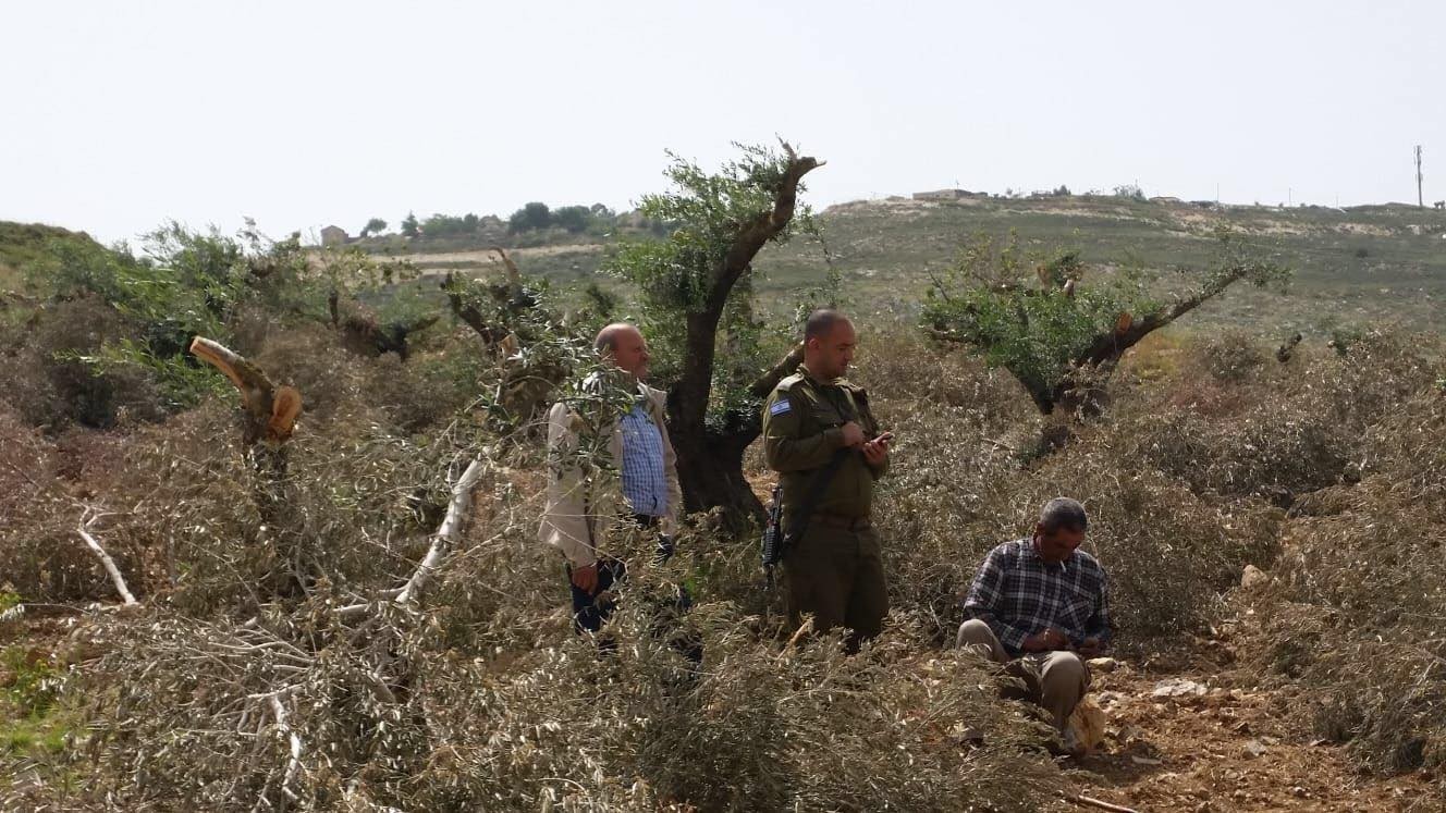 Les forces de l’occupation agressent les récolteurs d’olives près d’Hébron  