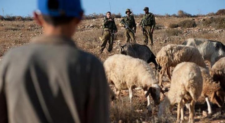 Des colons attaquent des éleveurs de moutons à l'est de Naplouse