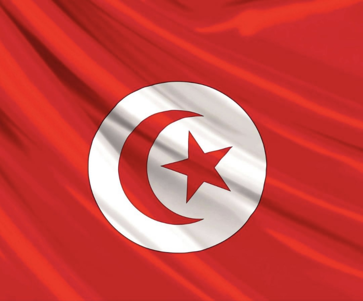 La Tunisie  condamne les pratiques agressives des autorités d'occupation et des colons dans les territoires palestiniens