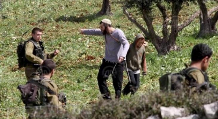 Bethléem: Des colons plantent des oliviers dans des terres palestiniennes 