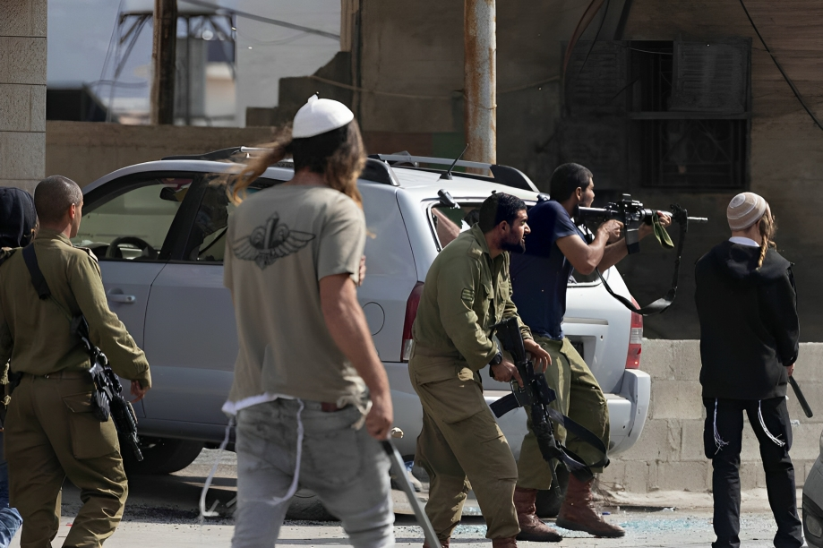 Des colons israéliens agressent des Palestiniens et détruisent des terres dans le nord de la vallée du Jourdain 