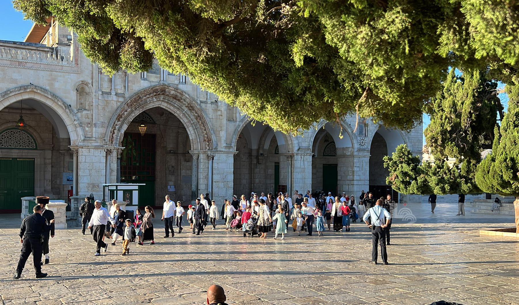 L'extrémiste Ben Gvir dirige une effraction à Al-Aqsa et les forces d’occupation agressent et arrêtent deux gardiens de la mosquée