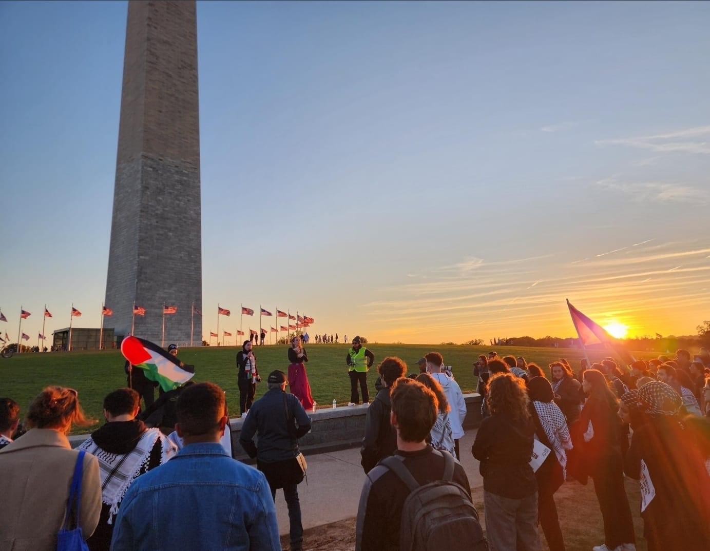 Des dizaines de militants manifestant à Washington pour condamner les crimes israéliens contre les Palestiniens 