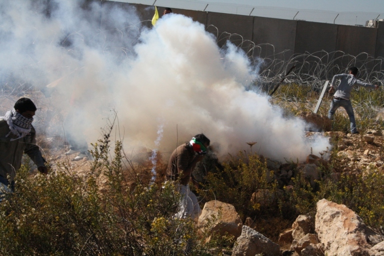 Des citoyens suffoqués lors de la répression israélienne d'une marche pacifique anti-colonisation 