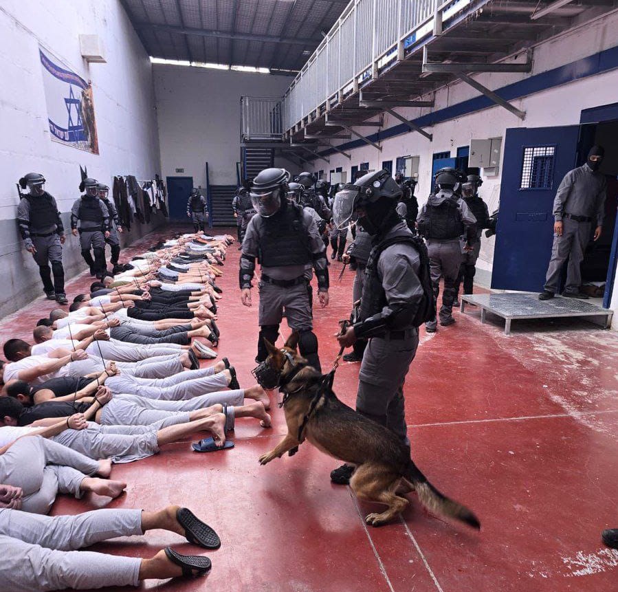 Une fuite de documents révèle une attaque brutale contre des prisonniers dans la prison de « Megiddo