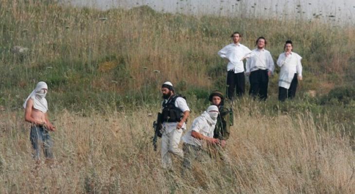 Les colons attaquent les citoyens palestiniens près de Jéricho  