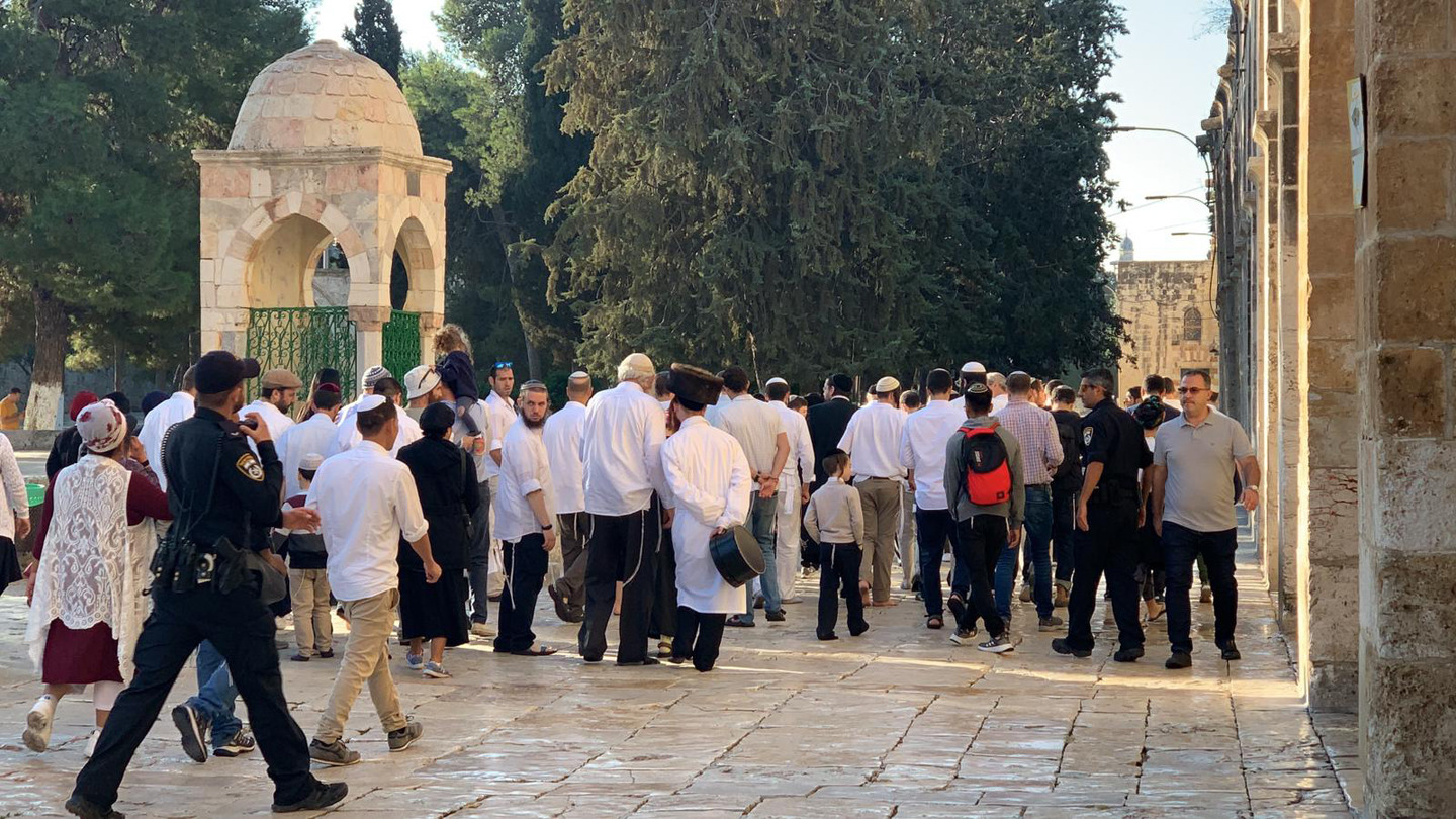 La mosquée Al-Aqsa envahie par des dizaines de colons