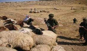 L'occupation menace de démolir une résidence et une bergerie et poursuit les bergers au sud d'Hébron.
