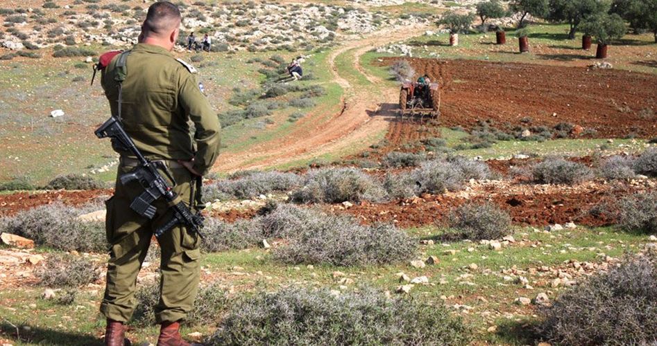L'occupation ravage 100 dunnums de terres à Qalqiliya 