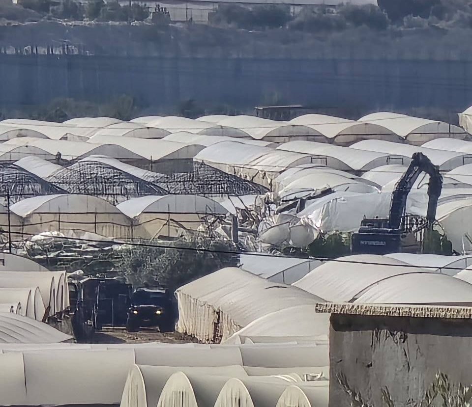 (Mise à jour) L'occupation et ses colons dévastent des serres agricoles à Salfit et Tulkarem 