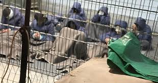 Le Syndicat des journalistes informe le directeur du Bureau des Nations Unies sur les crimes de l'occupation contre les journalistes de Gaza