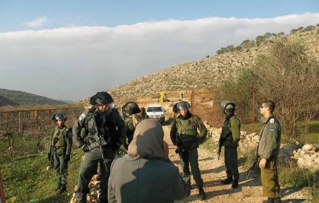 Les forces d'occupation empêchent les agriculteurs de récupérer leurs propres terres
