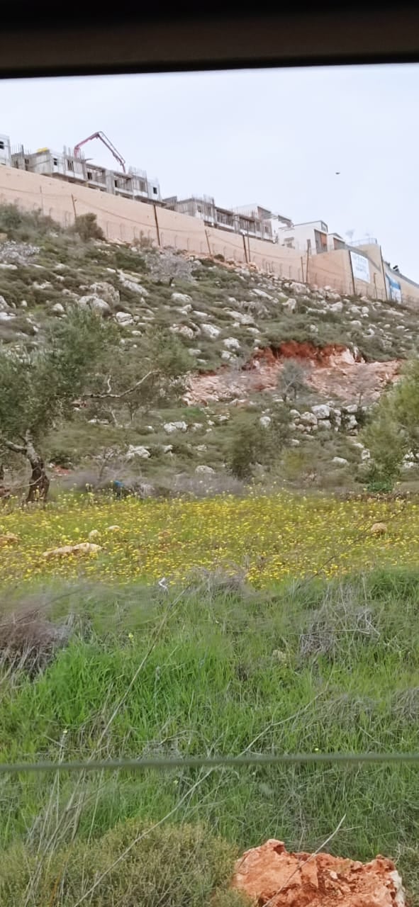 Dans le but d'étendre la colonie "Majdolim" : l'occupation installe des poteaux électriques à Naplouse