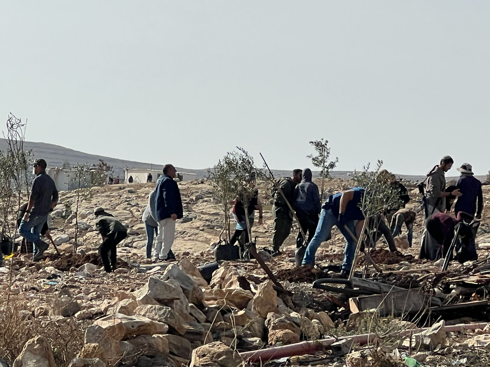 Des colons israéliens plantent des arbres sur des terres palestiniennes au sud d’Hébron