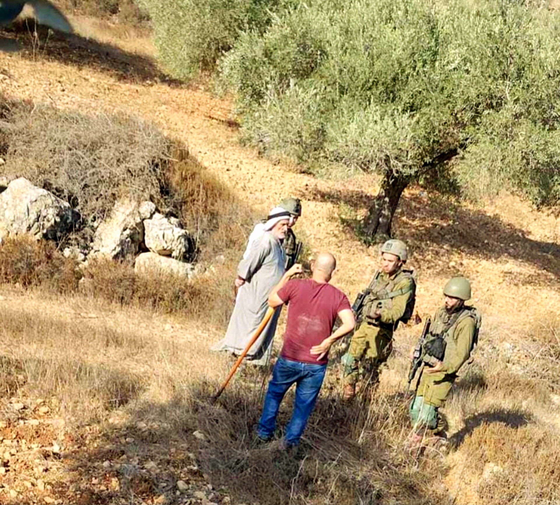 Les soldats d'occupation forcent les cueilleurs d'olives à quitter leurs terres à Naplouse