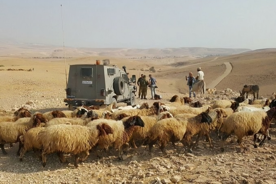 Les bergers palestiniens contraints par les forces d’occupation de quitter leurs terres