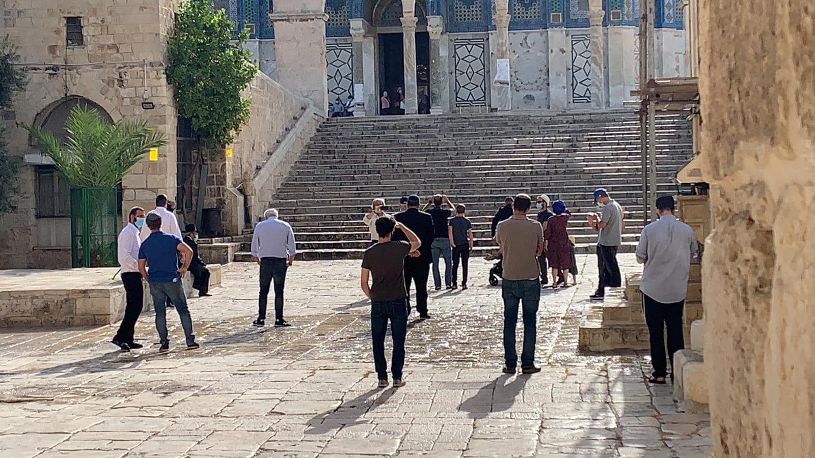 Plus de 100 colons profanent la mosquée d’Al-Aqsa