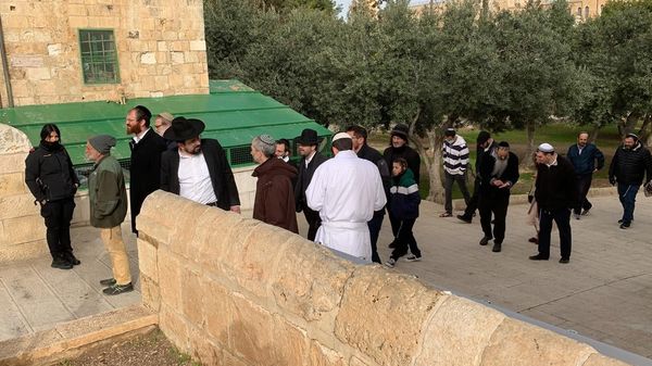 Des colons profanent la mosquée Al-Aqsa