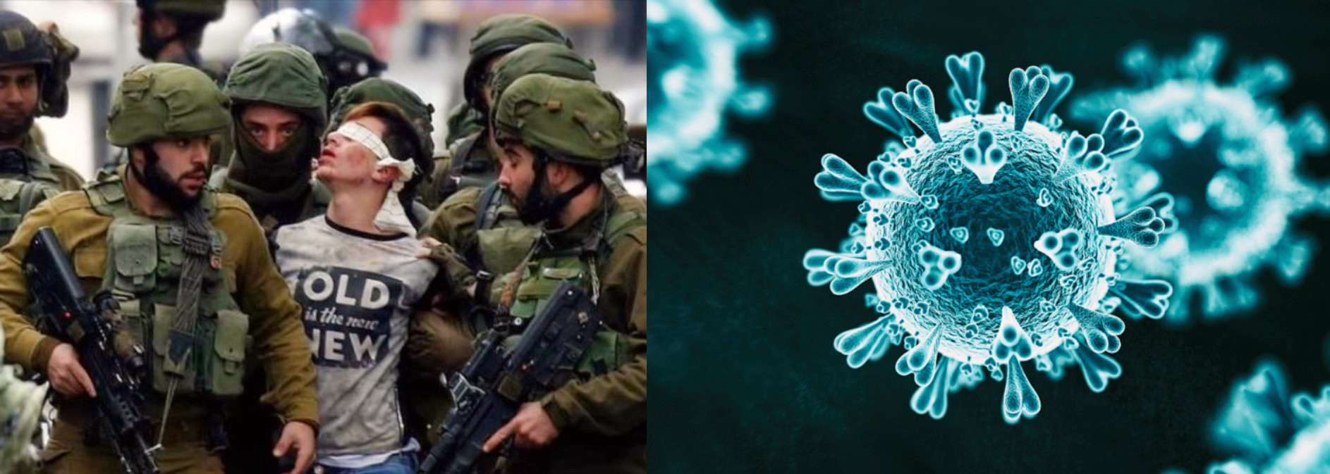Les forces d’occupation capturent plus de 3000 citoyens depuis le début de l’épidémie de corona