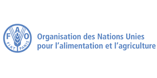 FAO : Les prix alimentaires mondiaux atteignent leur plus haut niveau en quatre ans le mois dernier