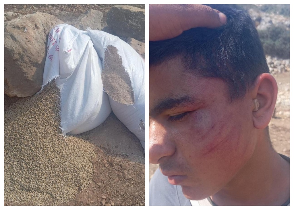 Un enfant palestinien agressé brutalement par des colons israéliens à Salfit
