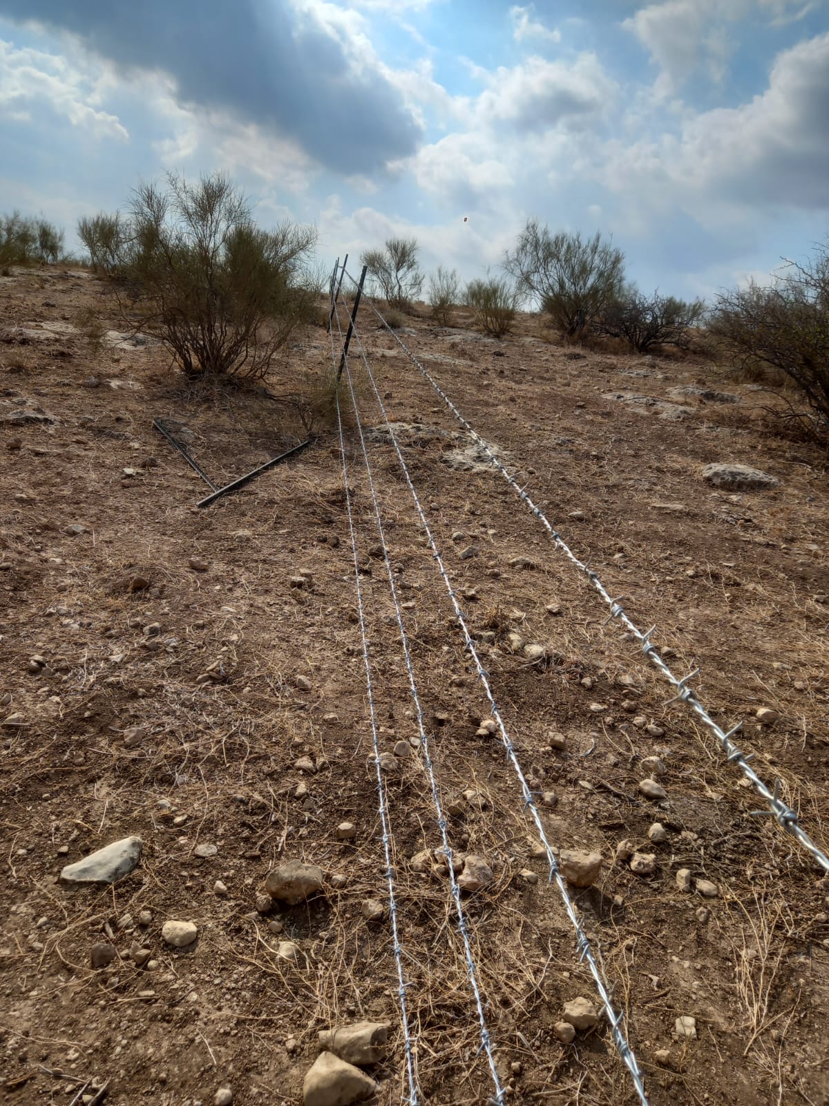Des colons israéliens agressent un berger palestinien et clôturent une route dans la vallée du Jourdain 