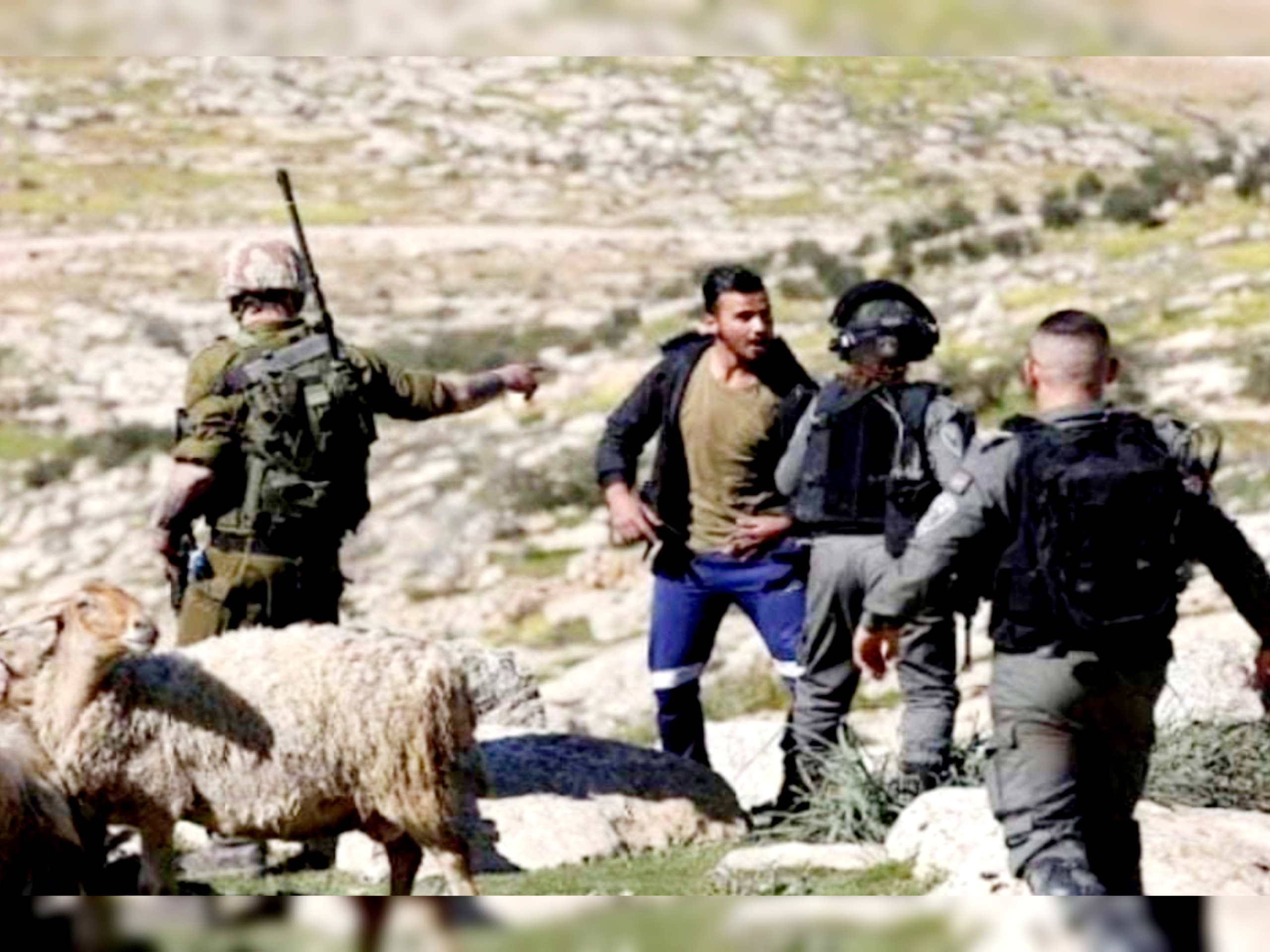 Un berger palestinien blessé après être agressé par des colons israéliens à Hébron 