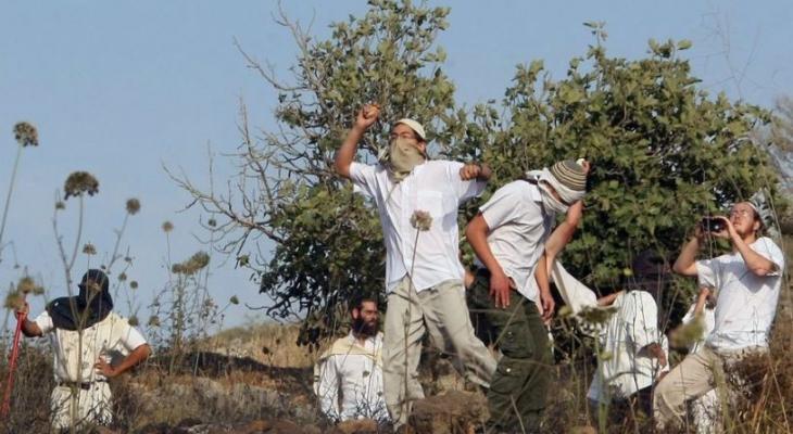 Un colon, protégé par des soldats d'occupation,  attaque un agriculteur palestinien au nord de la Cisjordanie occupée