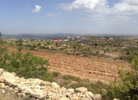 Les colons saisissent 10 dunnums de terres près de Bethléem 