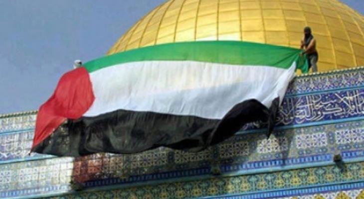 Amnesty International : la majorité des juifs ont peur du drapeau palestinien  