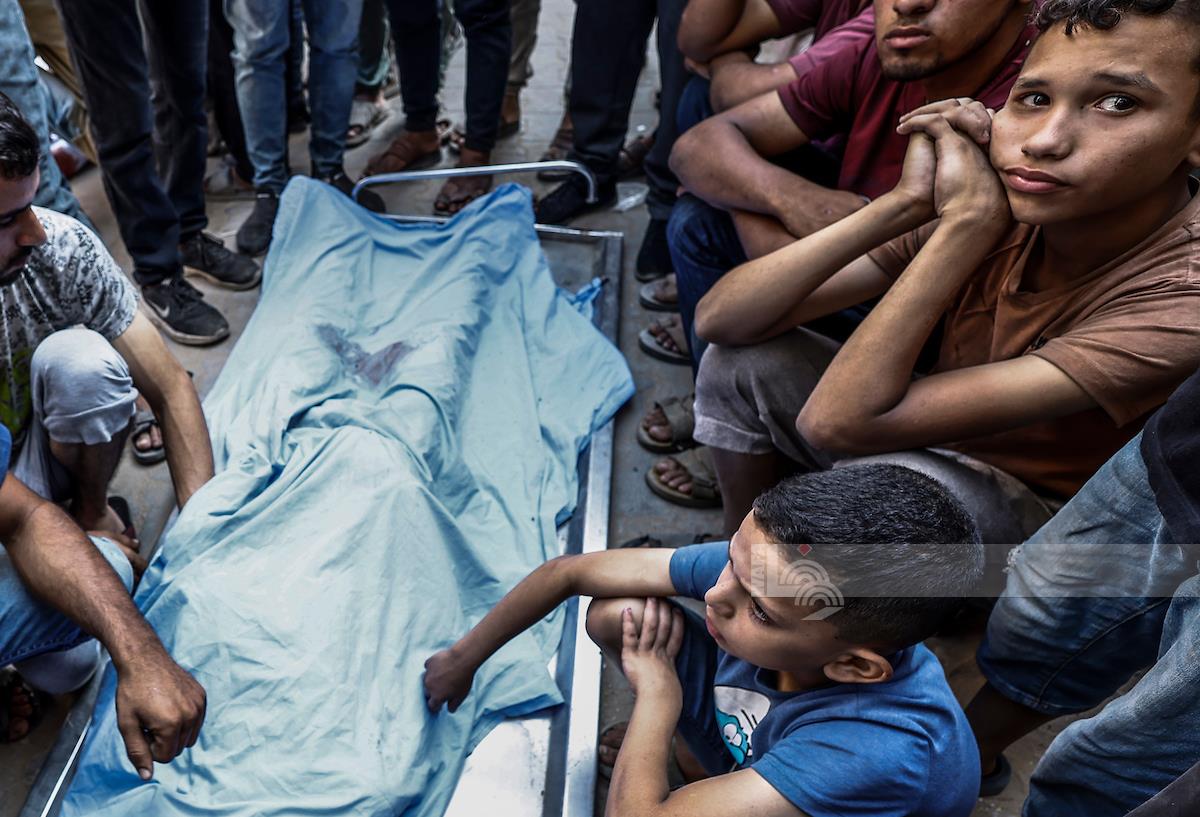Des enfants et des femmes parmi sept martyrs dans de frappes israéliennes sur Gaza