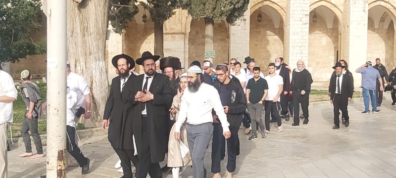 Blessés, incursions et arrestations dans la msoquée d'Al-Aqsa 