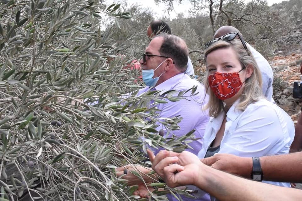 La représentante du Canada participe avec les habitants de Kafl Hares à la récolte des olives