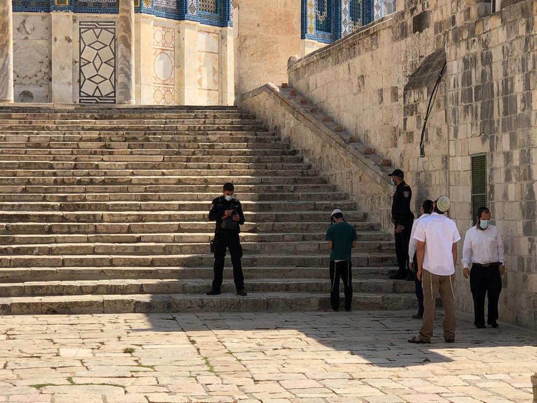 Les forces d’occupation ferment la porte des maghrébins après l’incursion des colons dans la mosquée d’Al-Aqsa