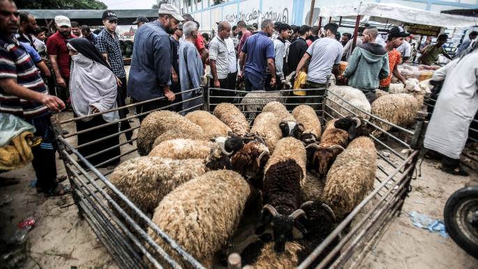 Les forces d'occupation interdisent l'entrée des moutons dans les villages à Jénine