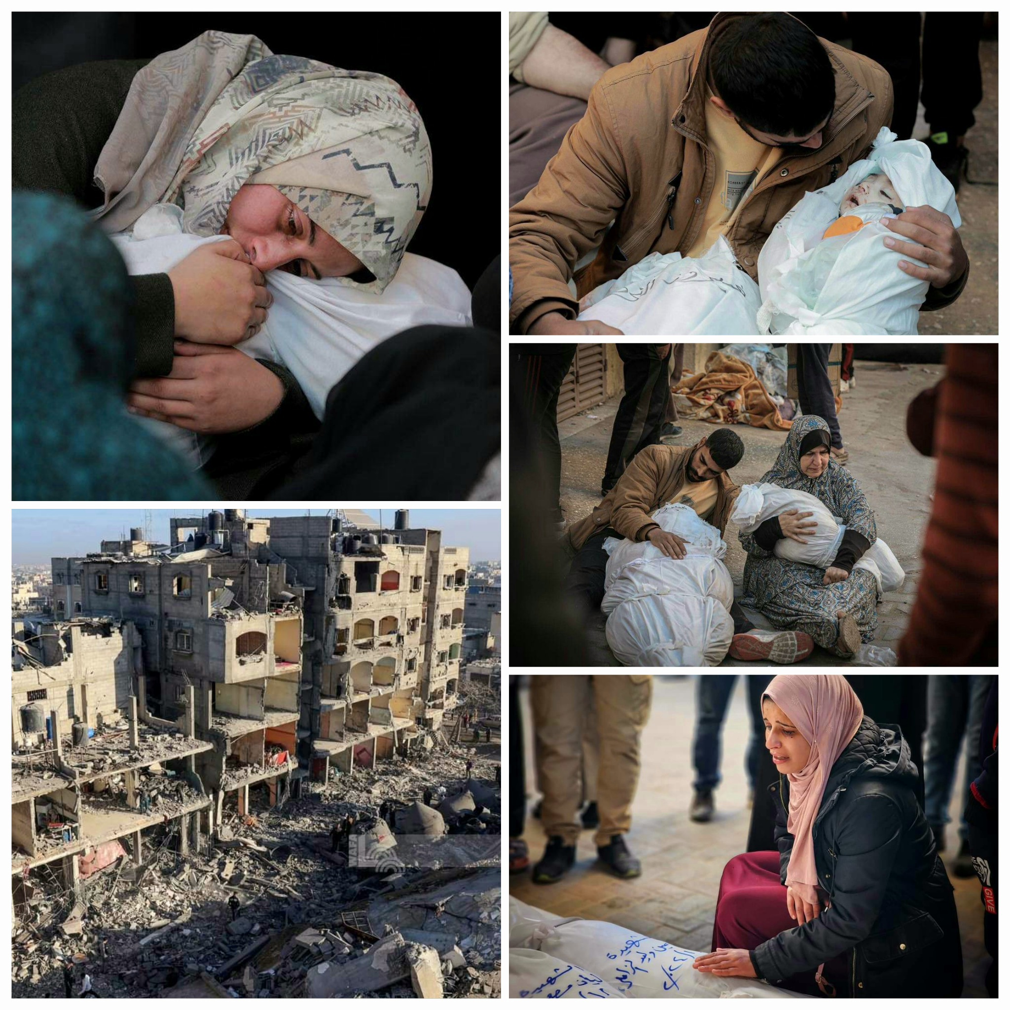 Le bilan des victimes de l'agression israélienne contre Gaza s'élève à 40 988 morts