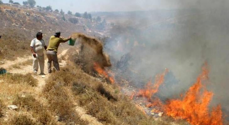 Des colons juifs incendient des terres agricoles près de Naplouse