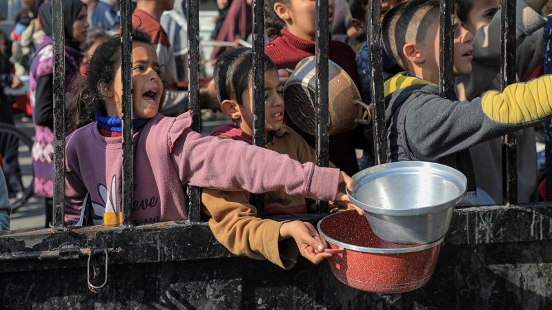 Alimentation mondiale : 2,2 millions de personnes à Gaza ont un besoin urgent d'aide