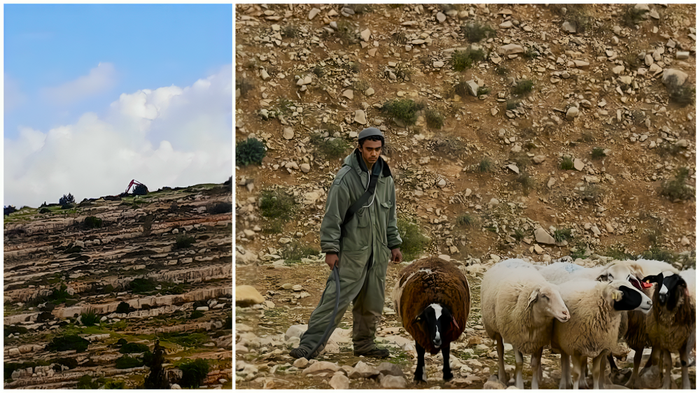 Accaparement des terres : des colons étendent leur emprise à Um Safa et Deir Istiya