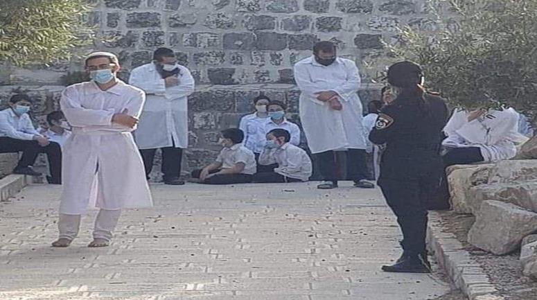 Des dizaines de colons envahissent Al-Aqsa