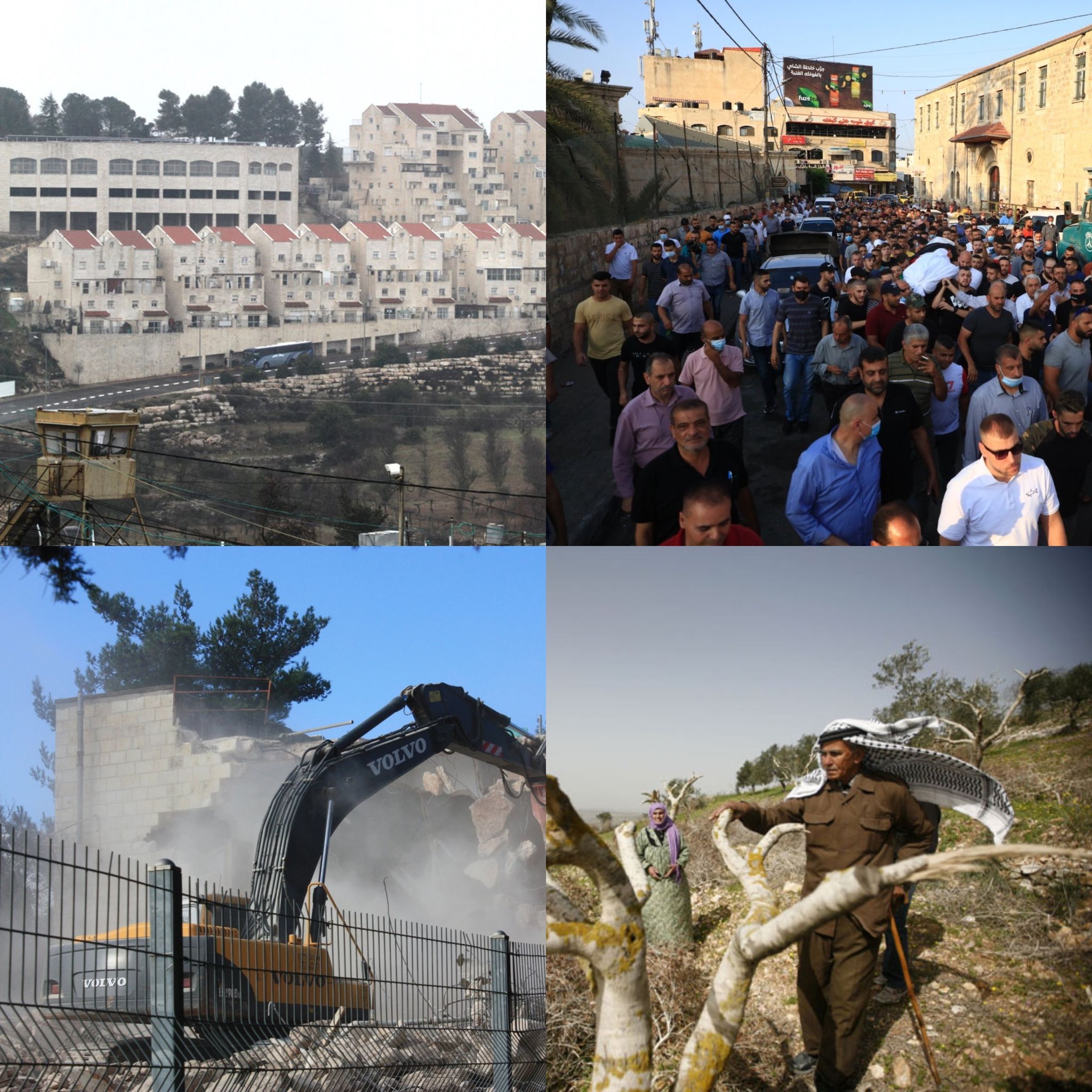 Deux Palestiniens tués, 60 blessés par balles israéliennes et 320 autres arrêtés en mois dernier
