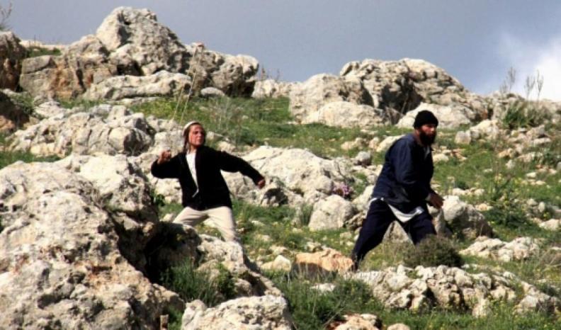 Des colons attaquent de jeunes Palestiniens et des militants étrangers au nord de Jéricho