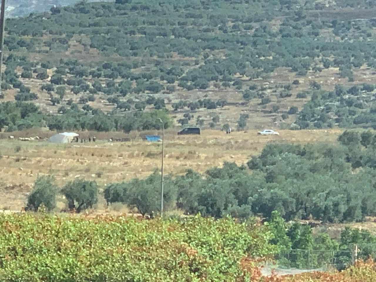 L'occupation et ses colons effactuent des violations en Cisjordanie